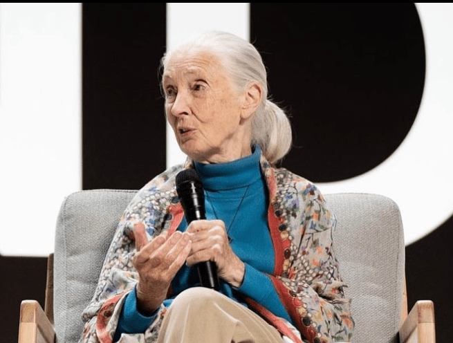 Jane Goodall Jane Goodall